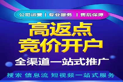 搜索引擎营销（SEM）的投放策略与效果评估——以某行业领先企业的案例分析